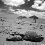 Drought III