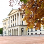 Royal leaves