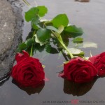 For those who suffer