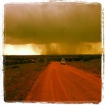 Instagram safari #2