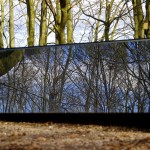 A short walk in the wood